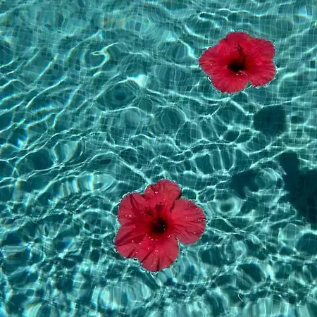 别墅 D'exception Avec Piscine