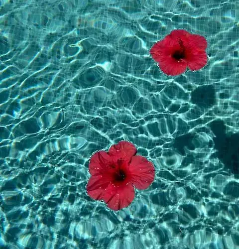 Villa D'exception Avec Piscine